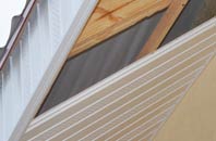 rated Trevilder soffit repair companies